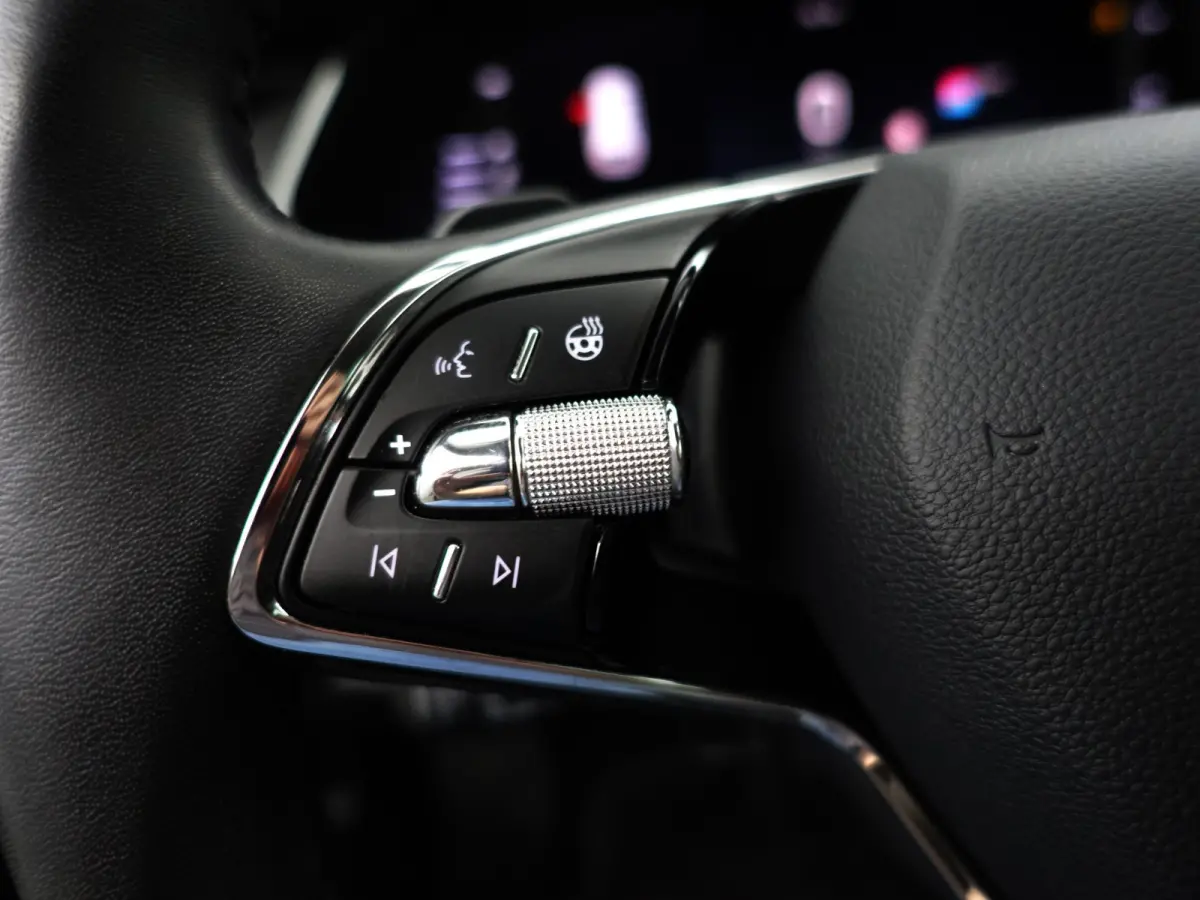 1.0 e-TSI Business Edition Aut- Stuur/Stoelverwarming, Carplay, Android Auto, Sfeerverlichting, Camera, Ada Cruise