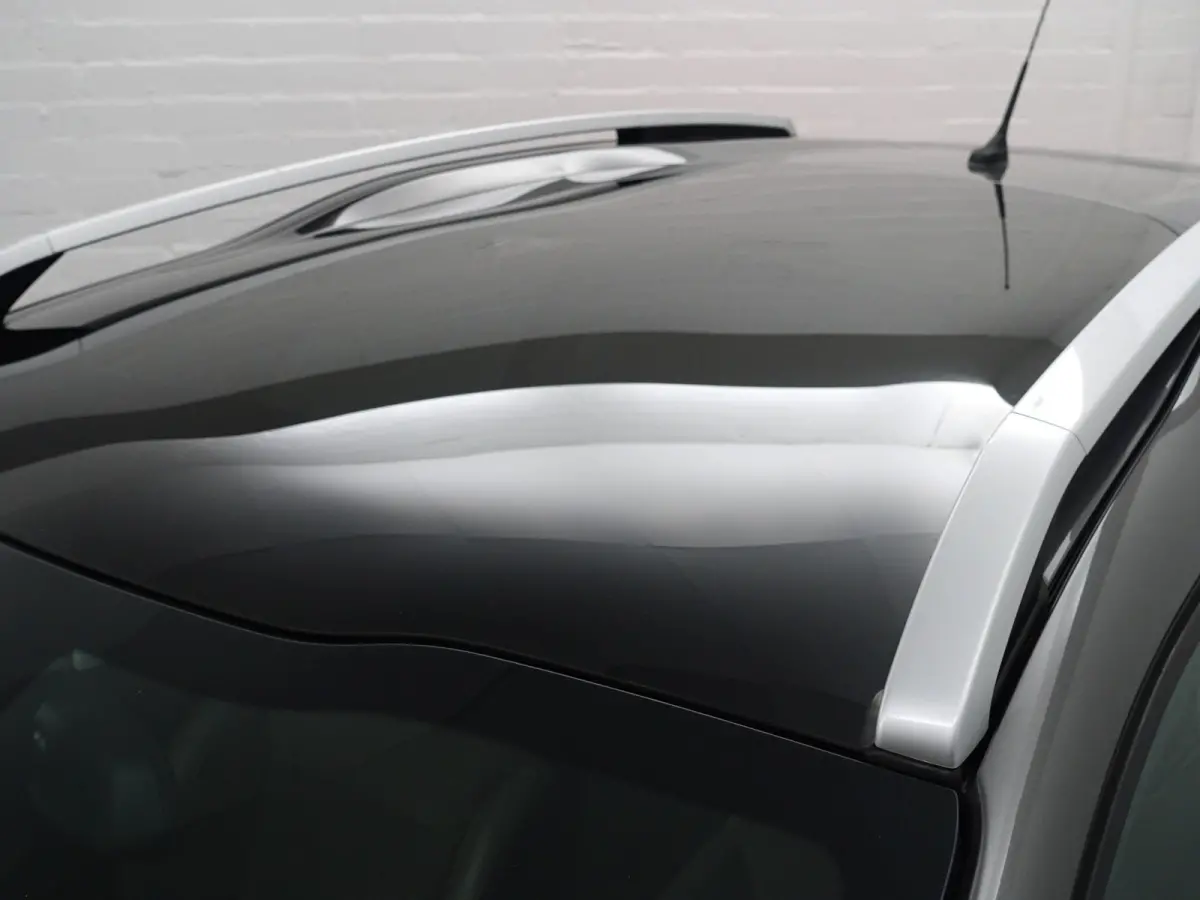 1.2 PureTech Féline- Panoramadak, Xenon Led, Dynamic Select, Trekhaak, Privacy Glass