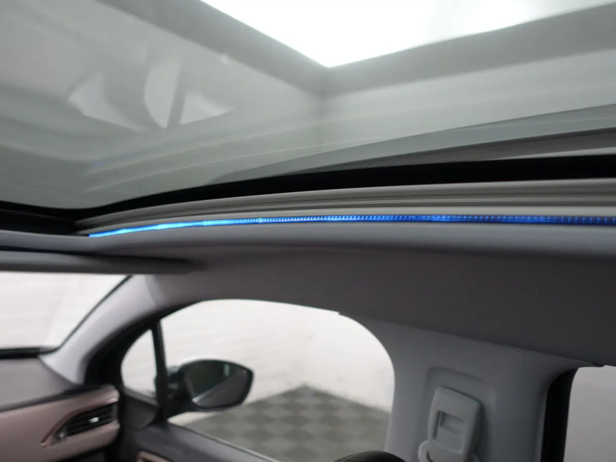 1.2 PureTech Féline- Panoramadak, Xenon Led, Dynamic Select, Trekhaak, Privacy Glass