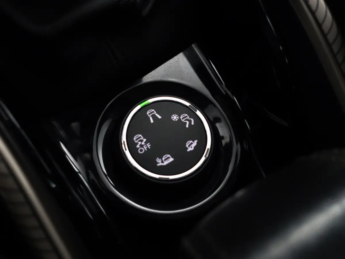 1.2 PureTech Féline- Panoramadak, Xenon Led, Dynamic Select, Trekhaak, Privacy Glass