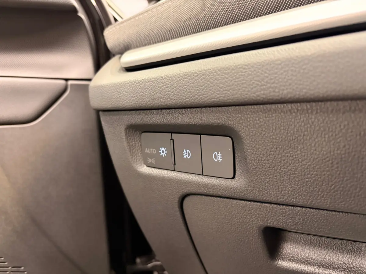1.5 e-TSI Business Edition Plus | LED | NAVI | TREKHAAK |