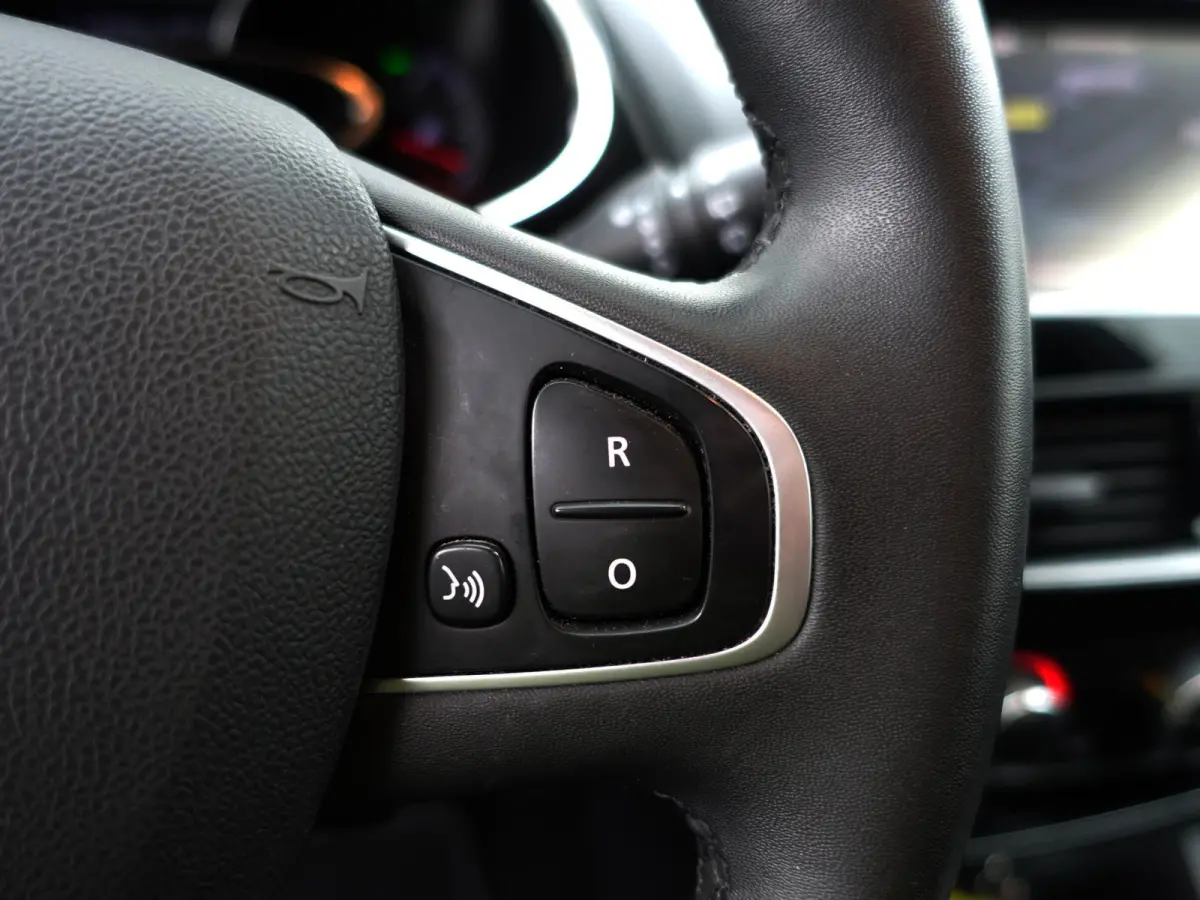 0.9 TCe Limited- Navigatie, Privacy Glass, Park Assist, Cruise, Led, Comfort Interieur