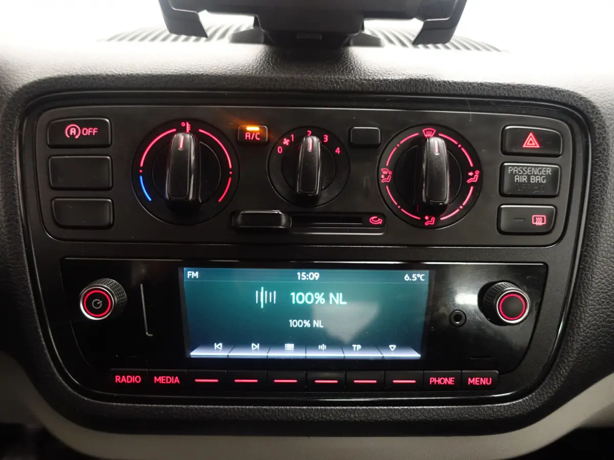 1.0 Intense- Park Assist, Bluetooth Audio, Clima, 5 Deurs, Elek Pakket