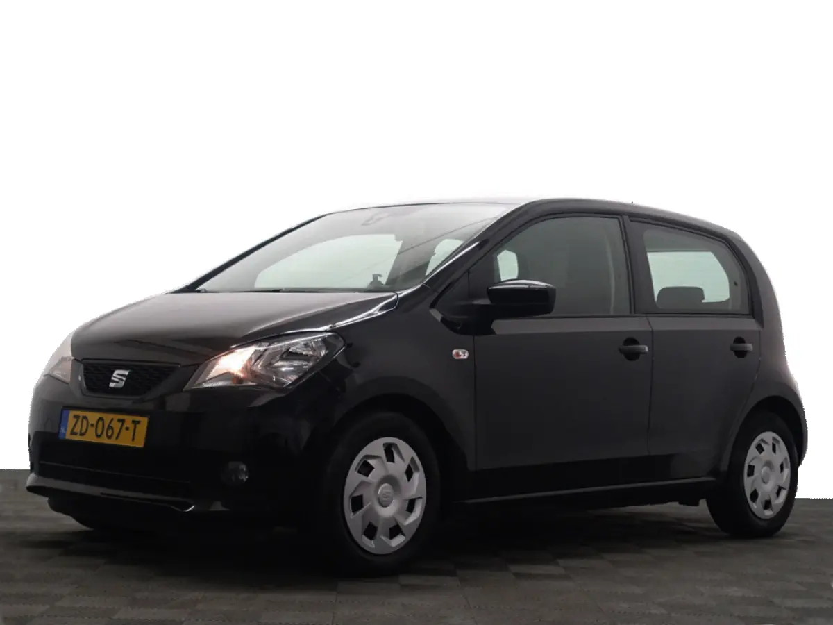 1.0 Intense- Park Assist, Bluetooth Audio, Clima, 5 Deurs, Elek Pakket