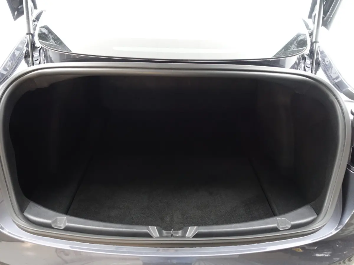 Long Range AWD 75 kWh- NAP 55dkm, Panoramadak, Camera, Autopilot, Xenon Led