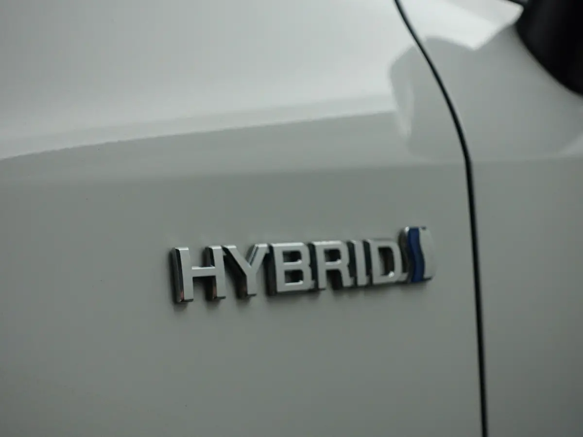 2.0 Hybrid Business Plus Aut- Ada Cruise, Lane Assist, Xenon Led, Camera, Stoelverwarming, Navi, Comfort Interieur