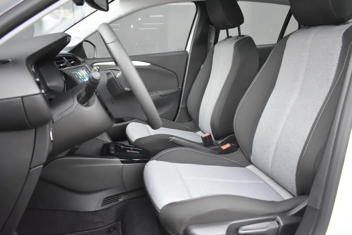 1.2 Turbo Hybrid Business Edition 110pk Tot 8 Jaar Garantie! | Achteruitrijcamera | Navigatie by App | Cruise Control | Airco | Full-LED | !!
