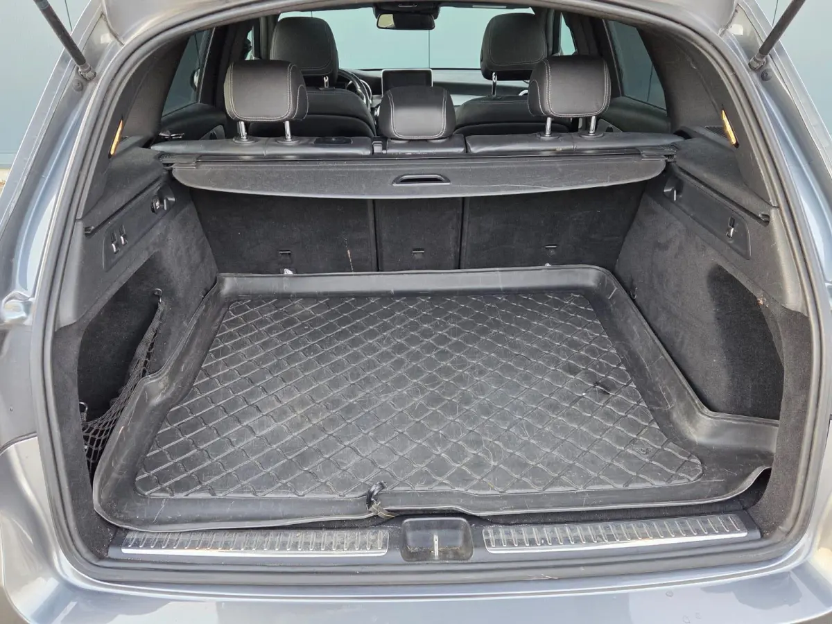 250 4MATIC Edition 1 Panoramadak