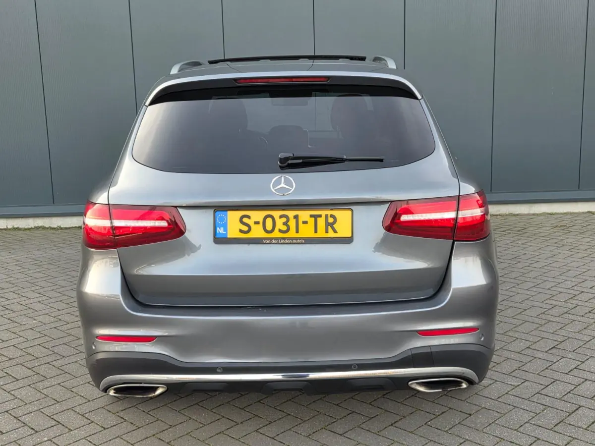 250 4MATIC Edition 1 Panoramadak