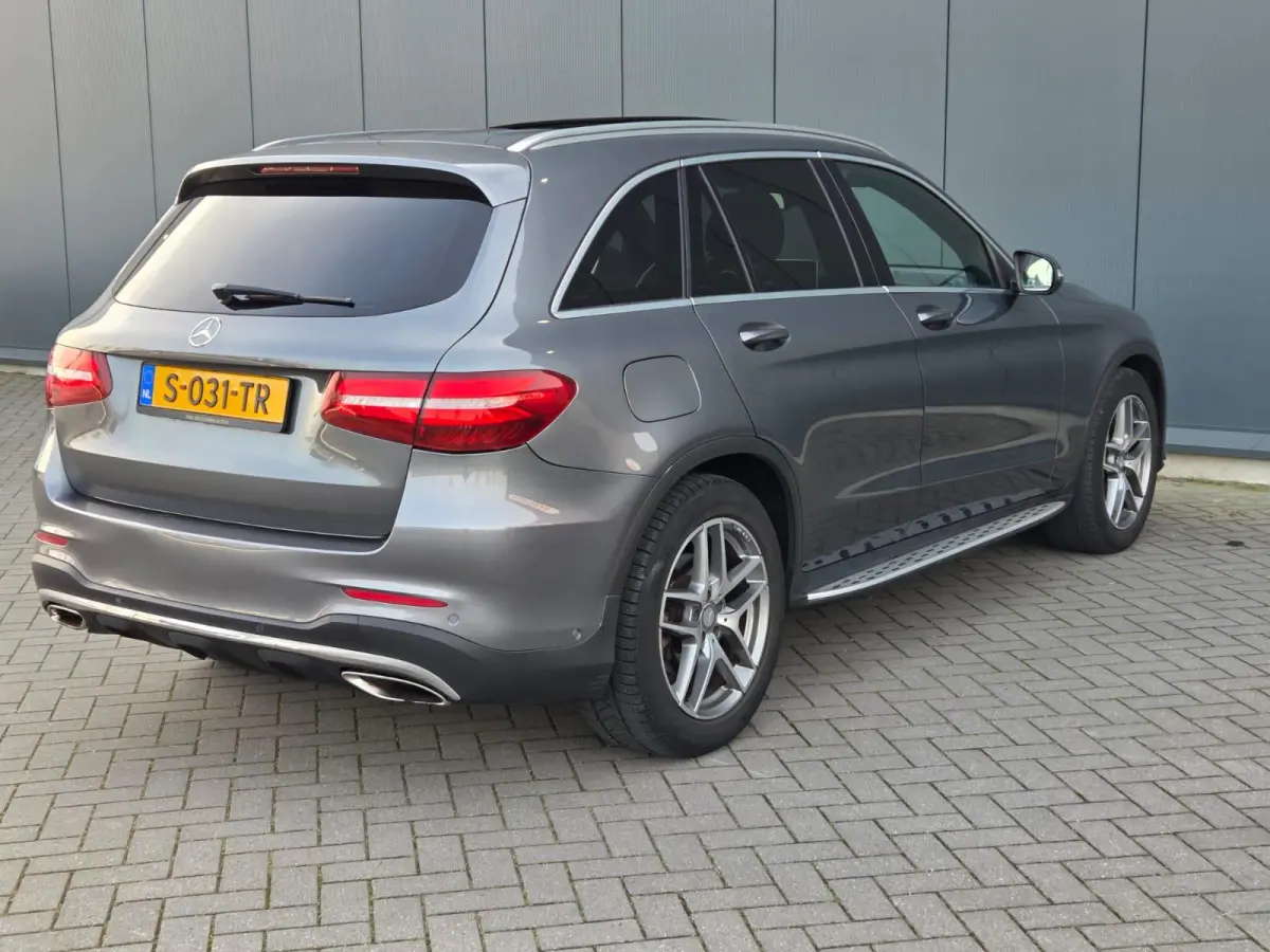 250 4MATIC Edition 1 Panoramadak