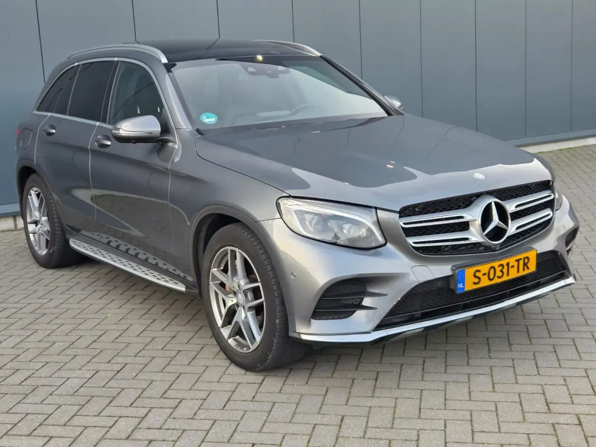 250 4MATIC Edition 1 Panoramadak