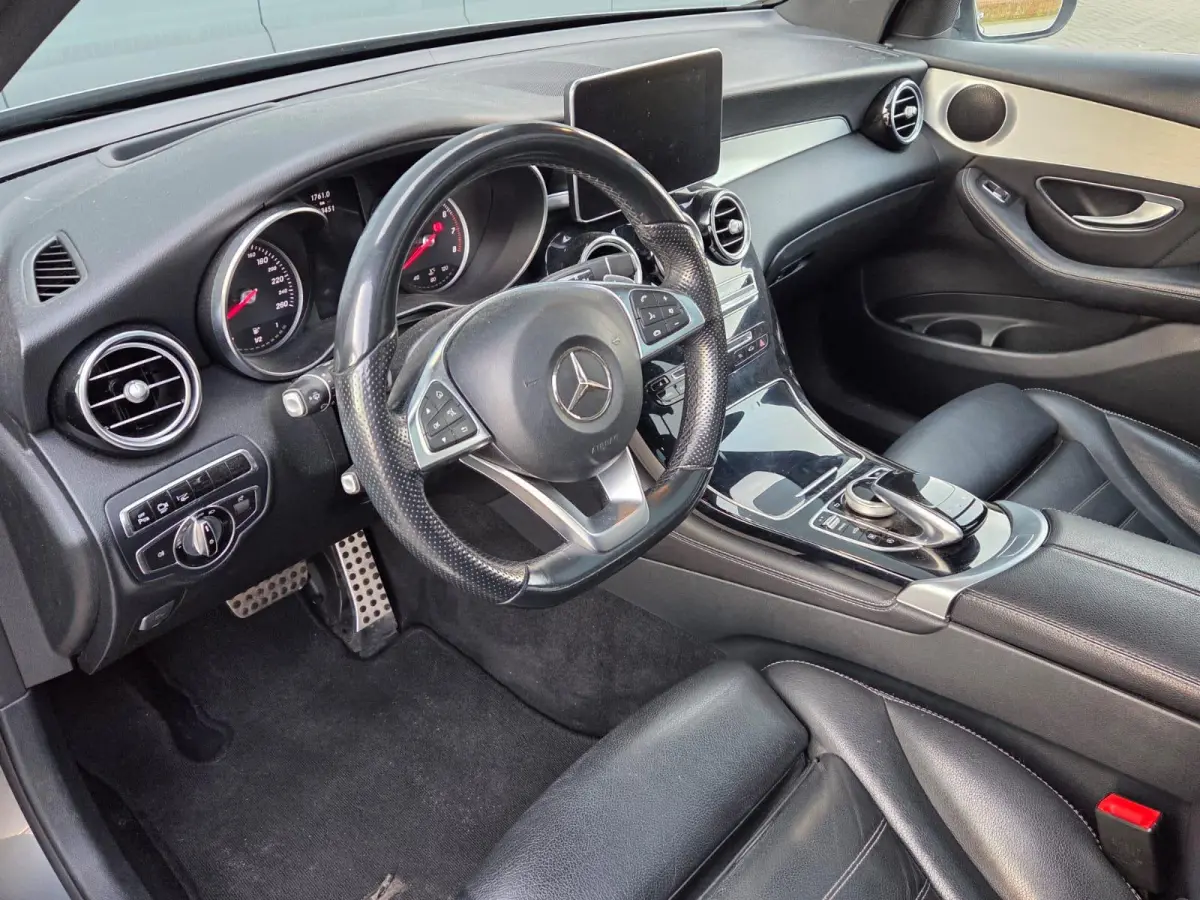 250 4MATIC Edition 1 Panoramadak