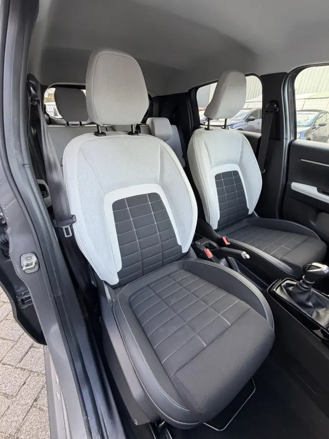 100pk Max (Camera - Navigatie - Automatische Airco - LED - 17"- Apple Carplay - Draadloos laden - Two Tone)
