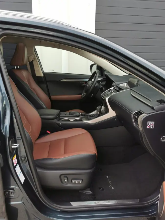 300h AWD Luxury Line 2 JAAR GARANTIE