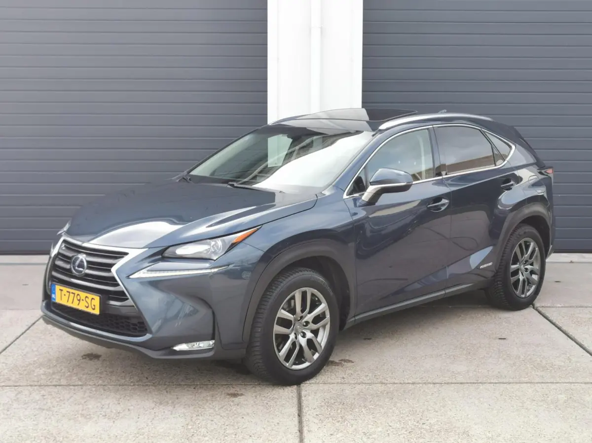 300h AWD Luxury Line 2 JAAR GARANTIE