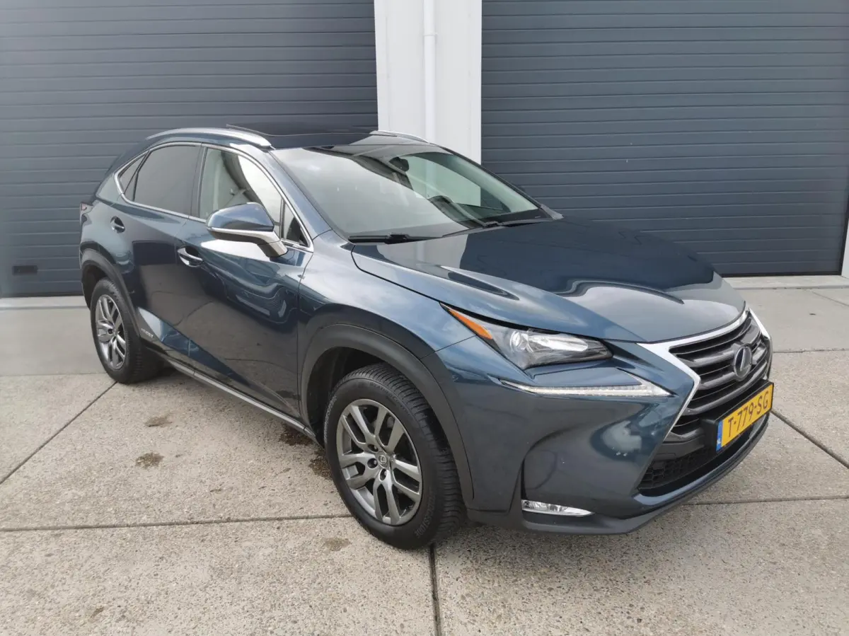 300h AWD Luxury Line 2 JAAR GARANTIE
