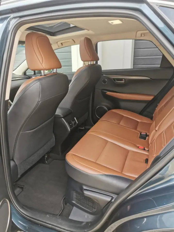 300h AWD Luxury Line 2 JAAR GARANTIE
