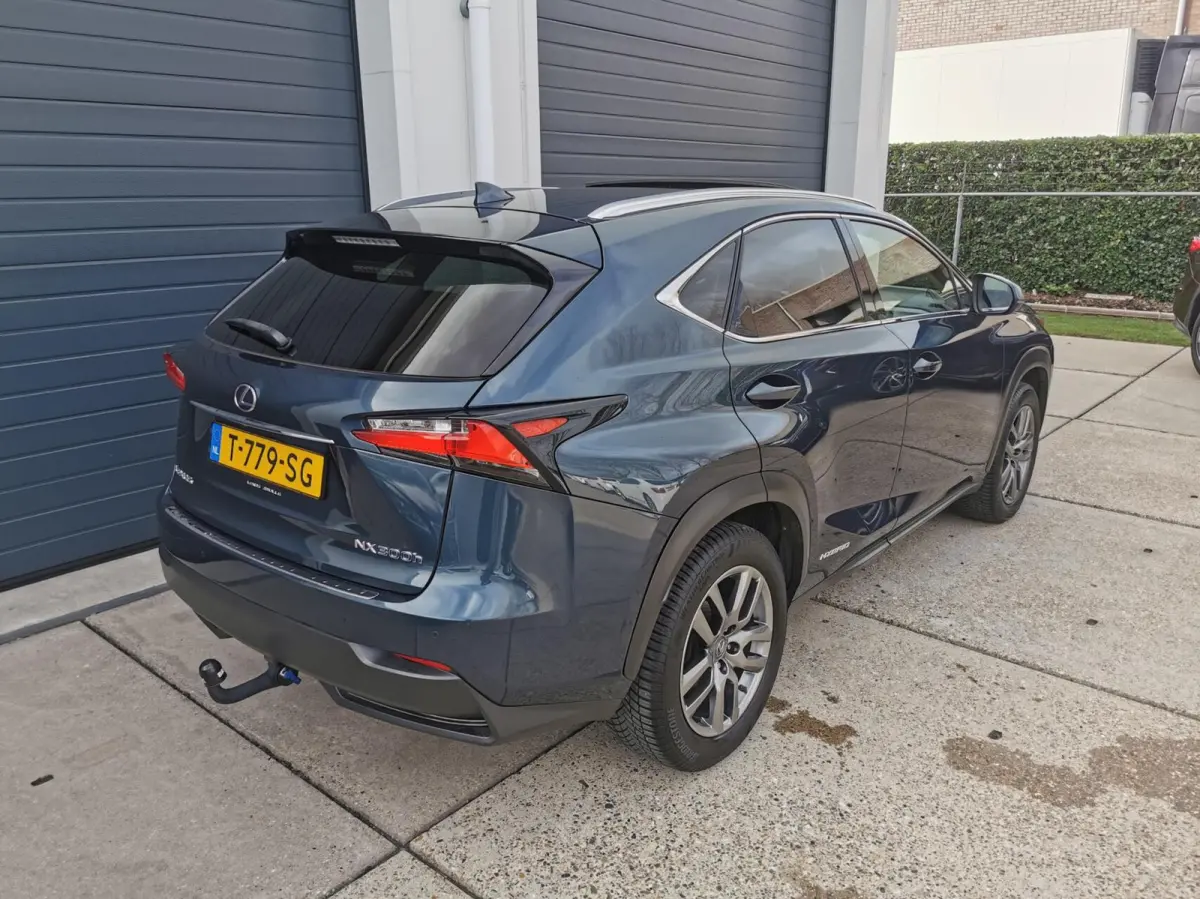 300h AWD Luxury Line 2 JAAR GARANTIE