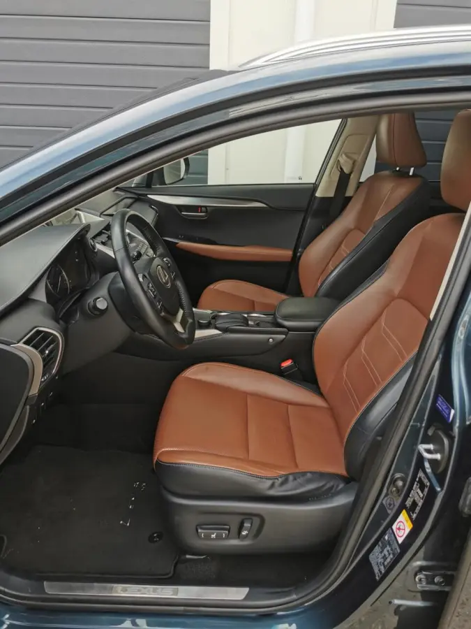 300h AWD Luxury Line 2 JAAR GARANTIE