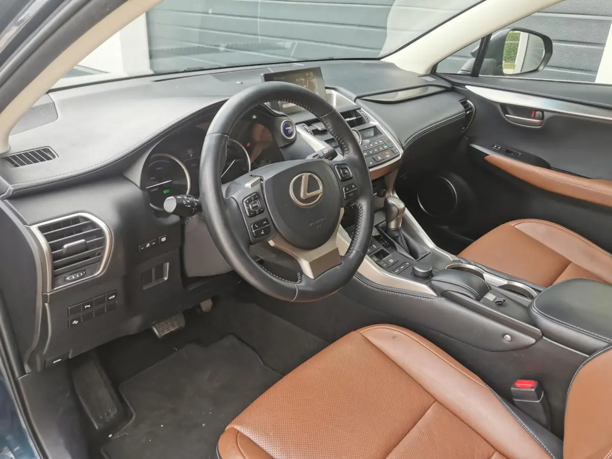 300h AWD Luxury Line 2 JAAR GARANTIE
