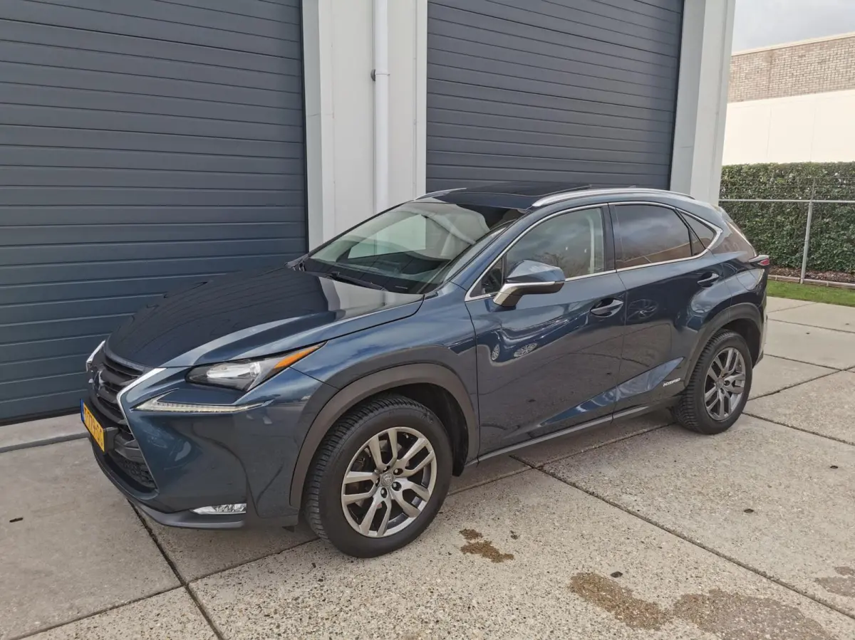 300h AWD Luxury Line 2 JAAR GARANTIE