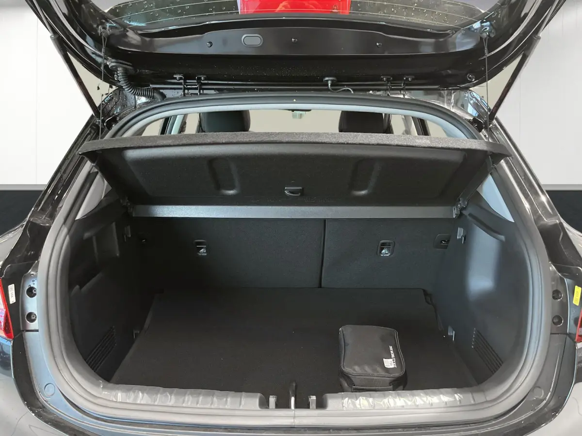 1.0 T-GDi MHEV DynamicLine | vanaf  € 429,- per maand | LED-koplampen | Cruisecontrol | Achteruitrijcamera | Dakrails | Lichtmetalen velgen |