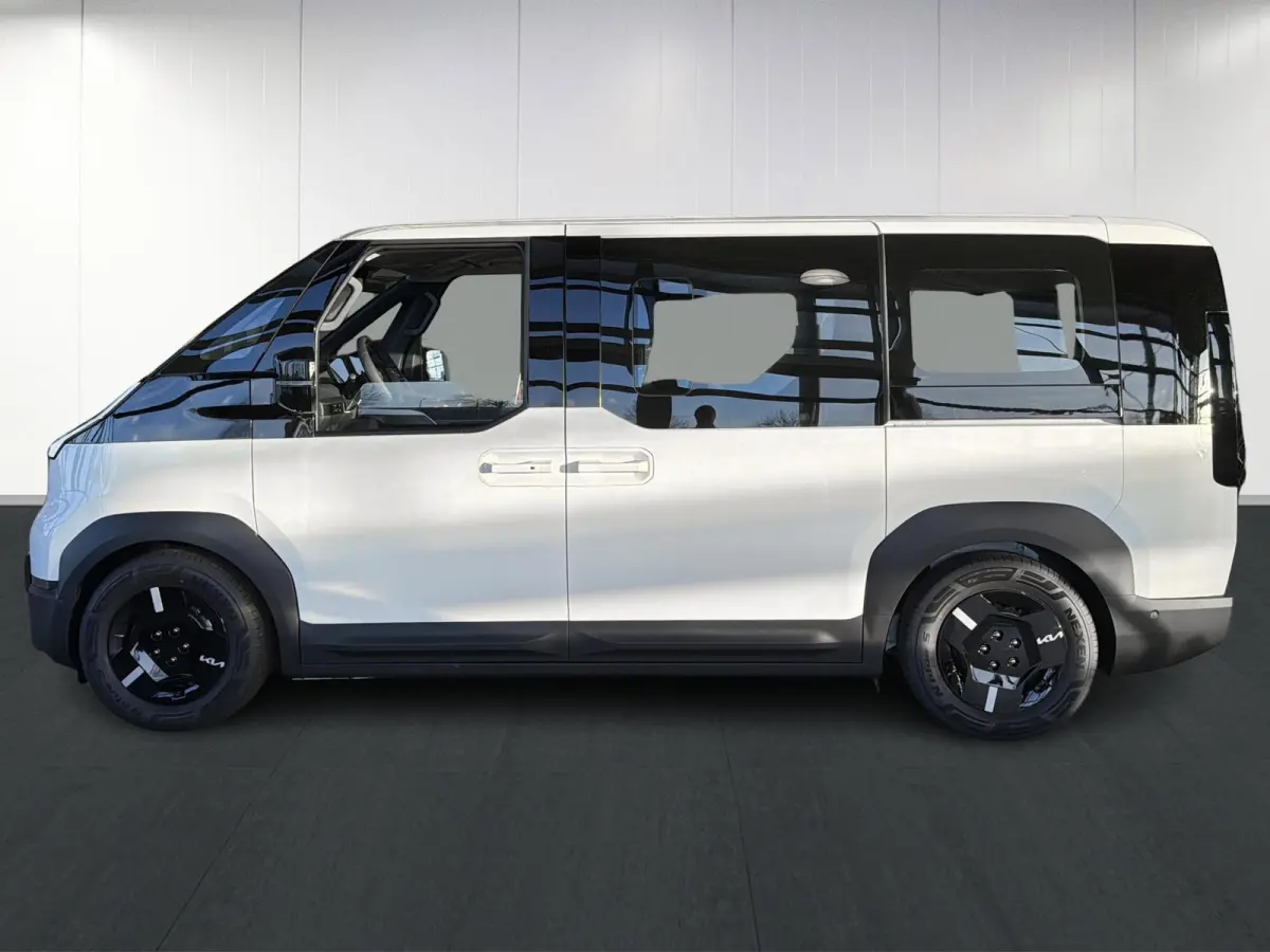 Elite 71.2 kWh | Stoelverwarming | Camera | Adaptieve cruise control | Dodehoekassistentie |