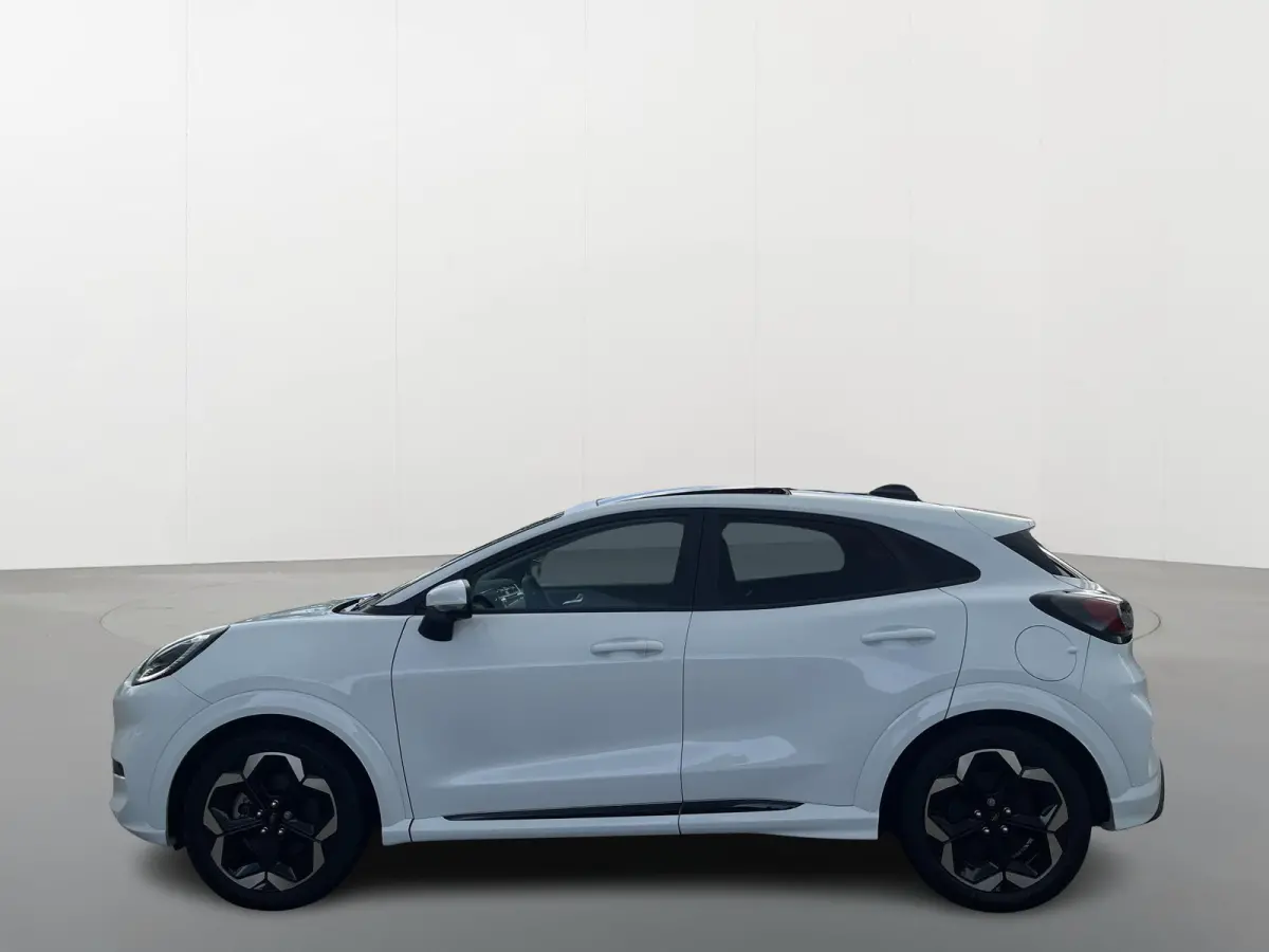 Premium 44 kWh | Driver Assistance Pack | Winter Pack | Panoramadak |