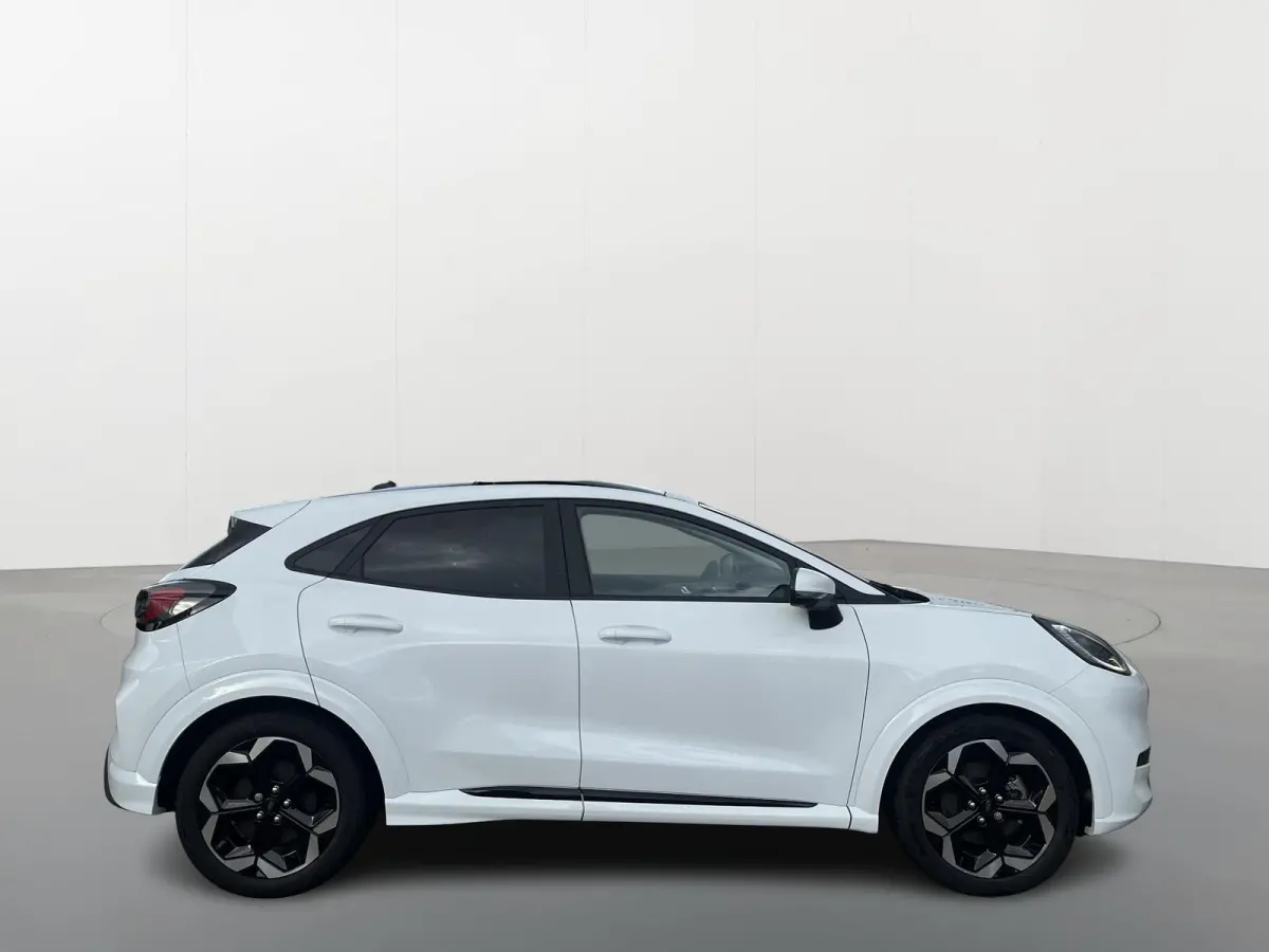 Premium 44 kWh | Driver Assistance Pack | Winter Pack | Panoramadak |