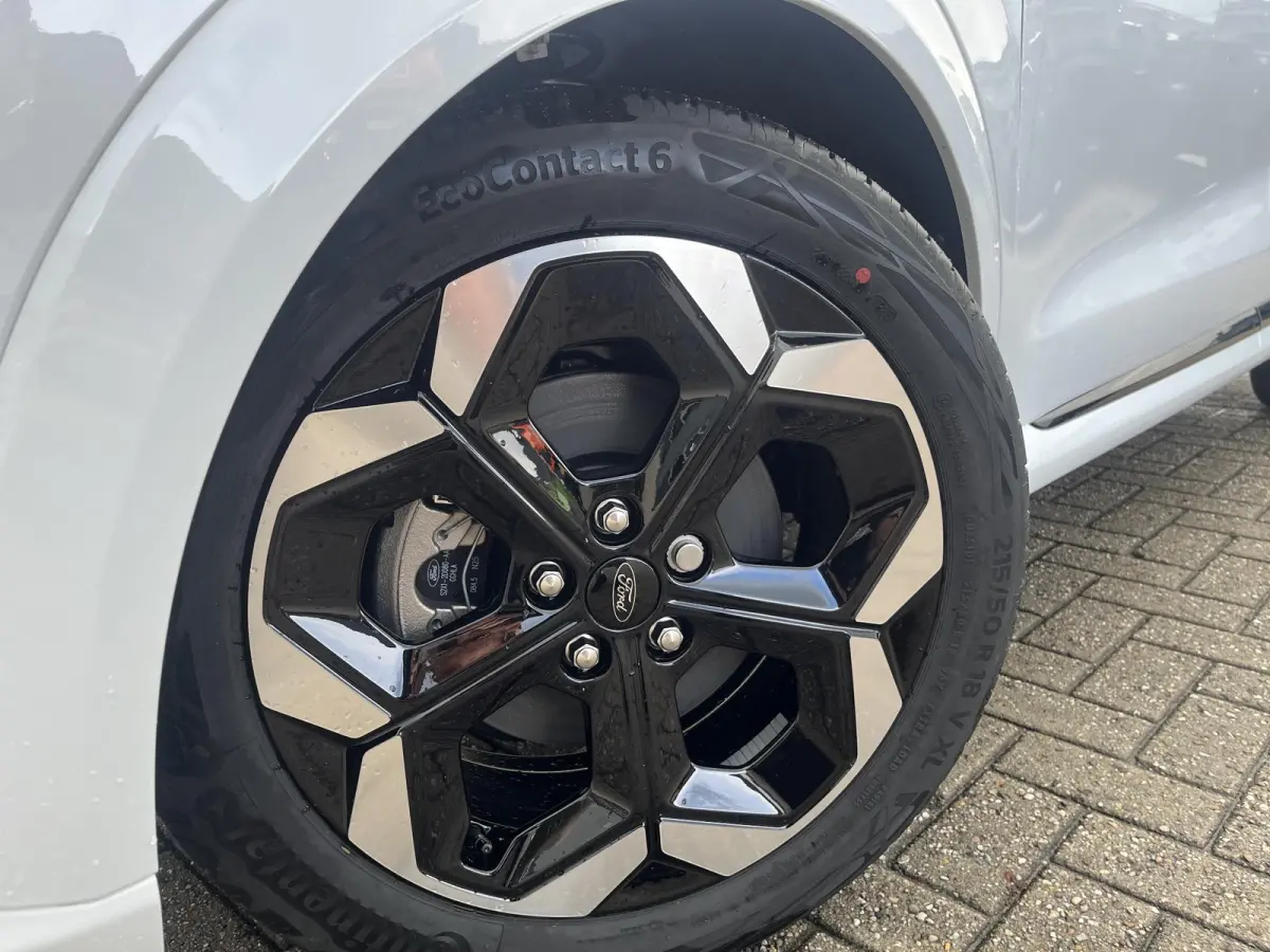 Premium 44 kWh | Driver Assistance Pack | Winter Pack | Panoramadak |