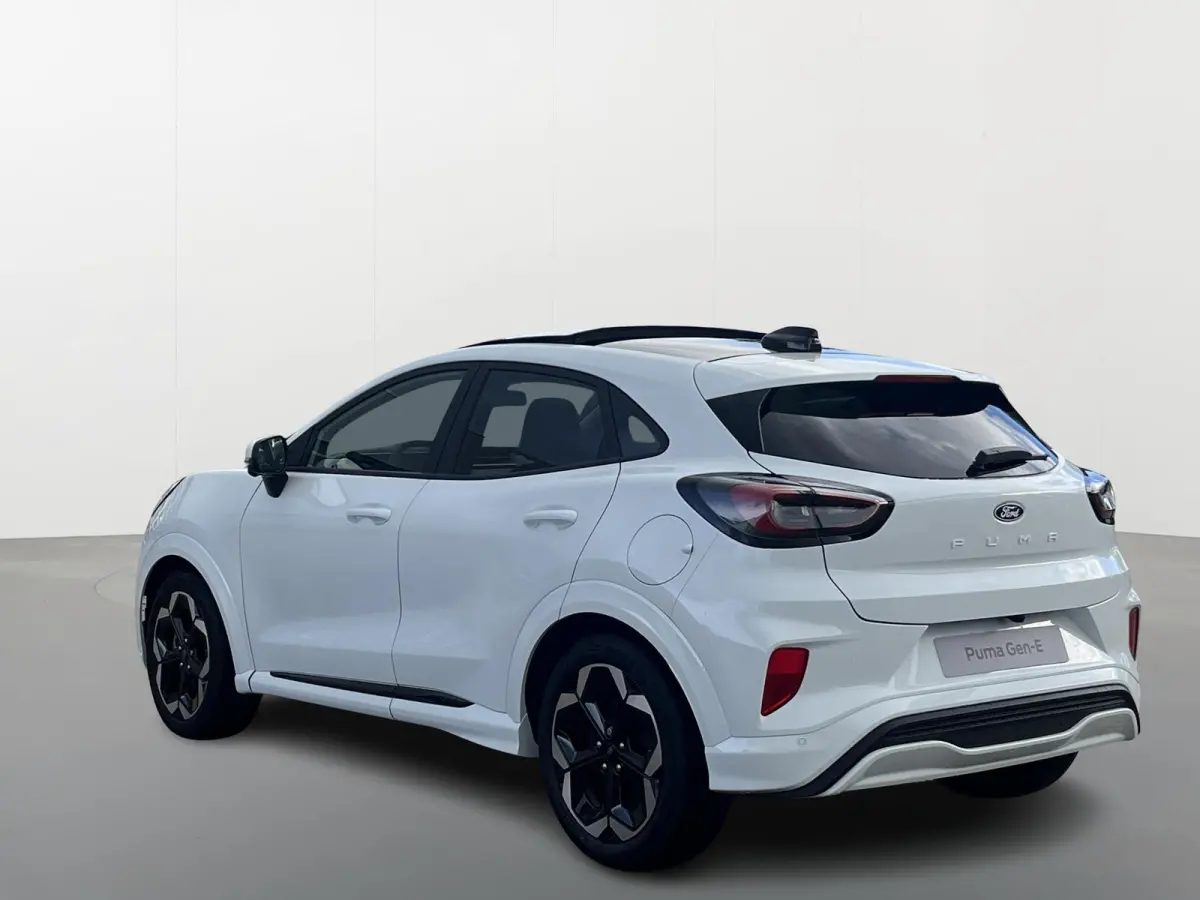 Premium 44 kWh | Driver Assistance Pack | Winter Pack | Panoramadak |