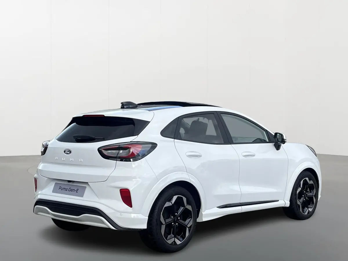 Premium 44 kWh | Driver Assistance Pack | Winter Pack | Panoramadak |