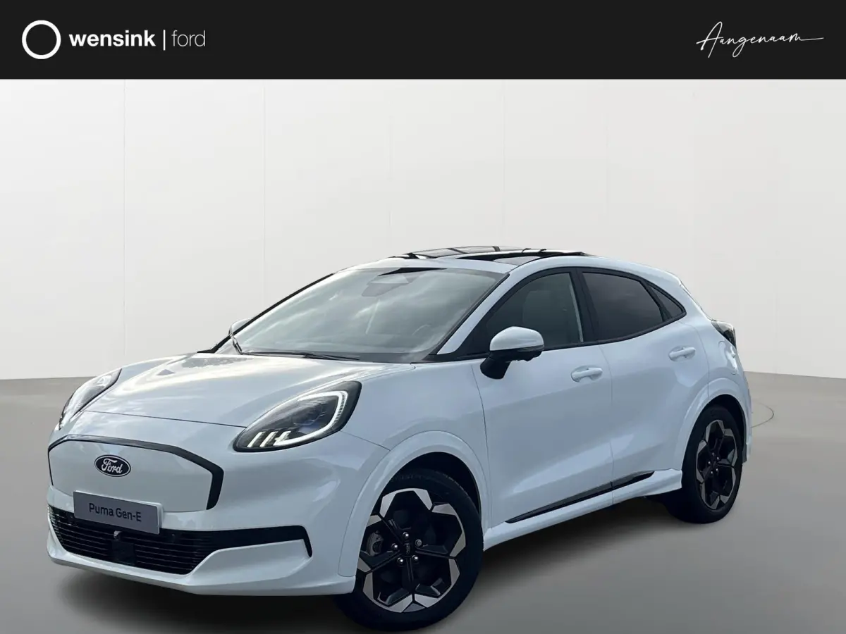 Premium 44 kWh | Driver Assistance Pack | Winter Pack | Panoramadak |
