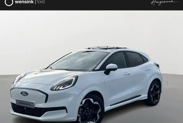 Premium 44 kWh | Driver Assistance Pack | Winter Pack | Panoramadak |