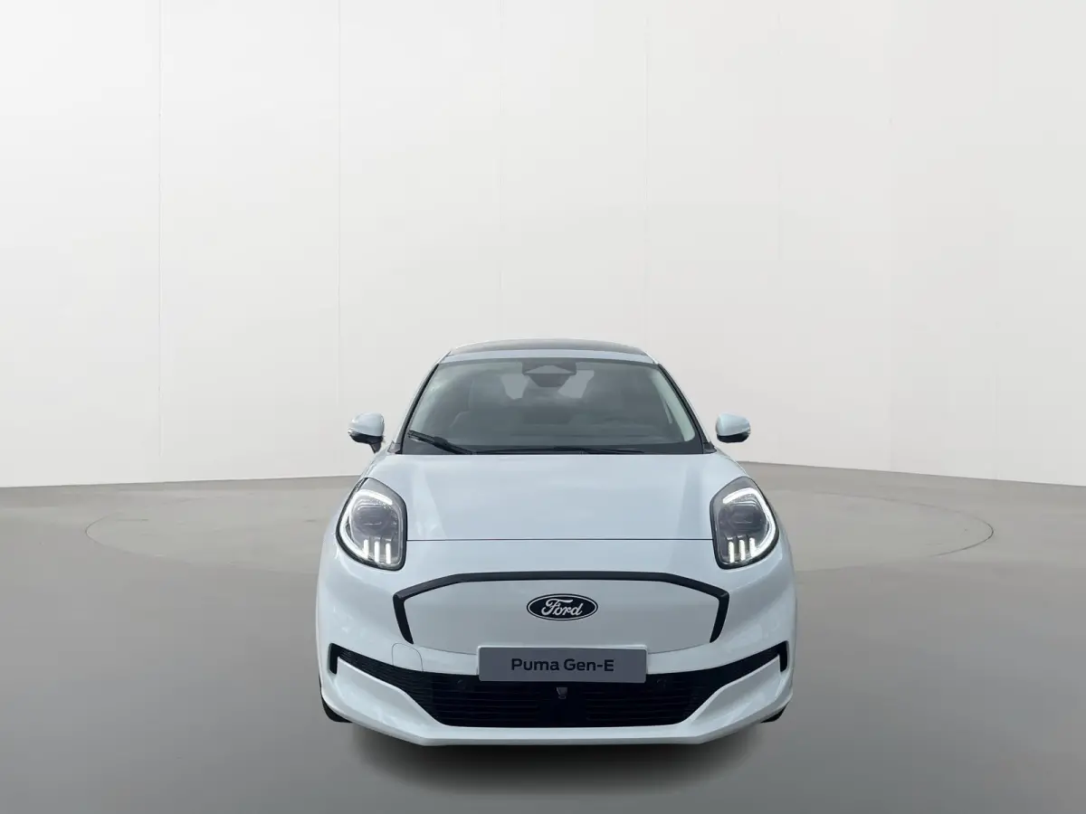 Premium 44 kWh | Driver Assistance Pack | Winter Pack | Panoramadak |