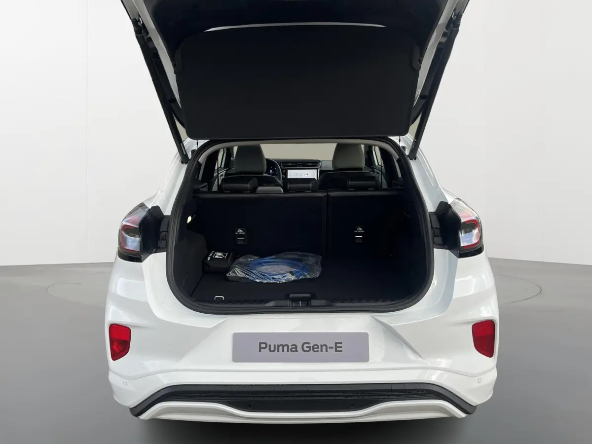Premium 44 kWh | Driver Assistance Pack | Winter Pack | Panoramadak |