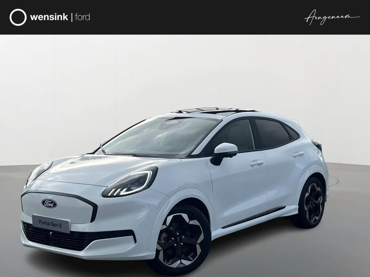 Premium 44 kWh | Driver Assistance Pack | Winter Pack | Panoramadak |
