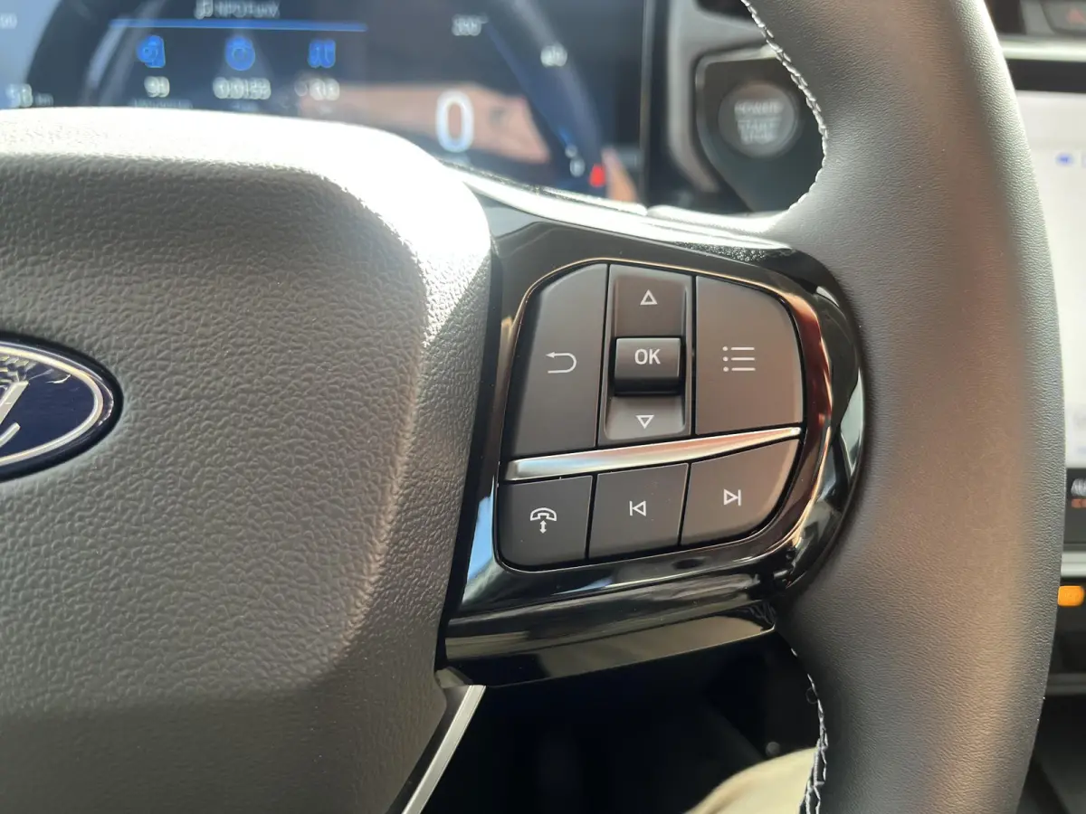 Premium 44 kWh | Driver Assistance Pack | Winter Pack | Panoramadak |