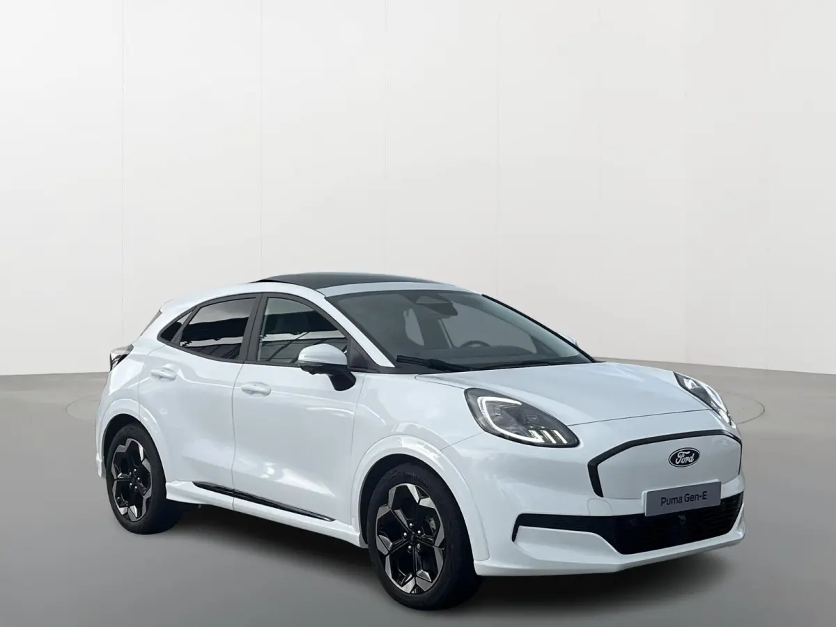 Premium 44 kWh | Driver Assistance Pack | Winter Pack | Panoramadak |
