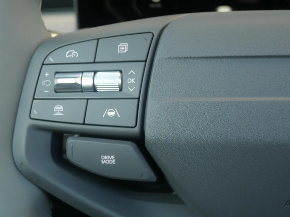 Plus Advanced 81.4 kWh | Schuifkanteldak | Stoel en stuurverwarming | Adaptief | Dode Hoek