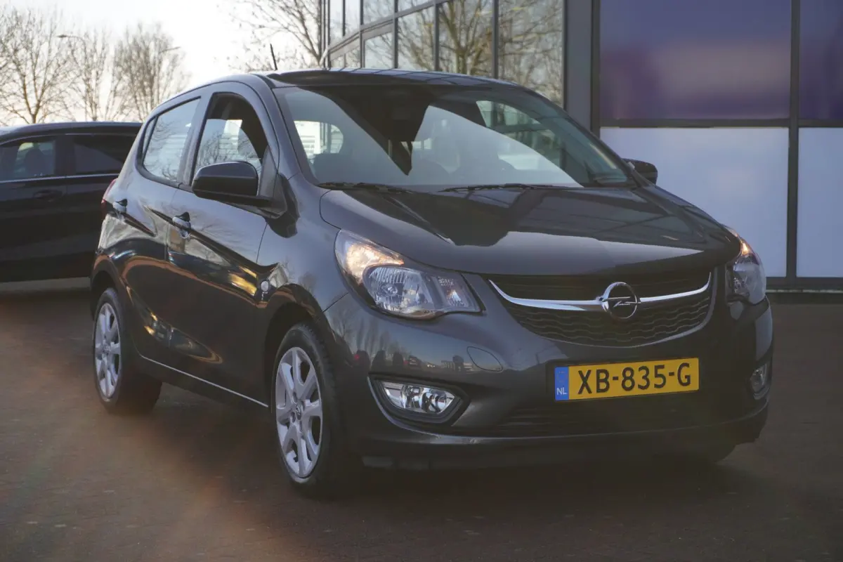 1.0 ecoFLEX Edition / PDC / Cruise / AUTOMAAT / 1EIG / ORIG-NL / MEI ACTIEPRIJS = DEALER ONDERHOUDEN !!