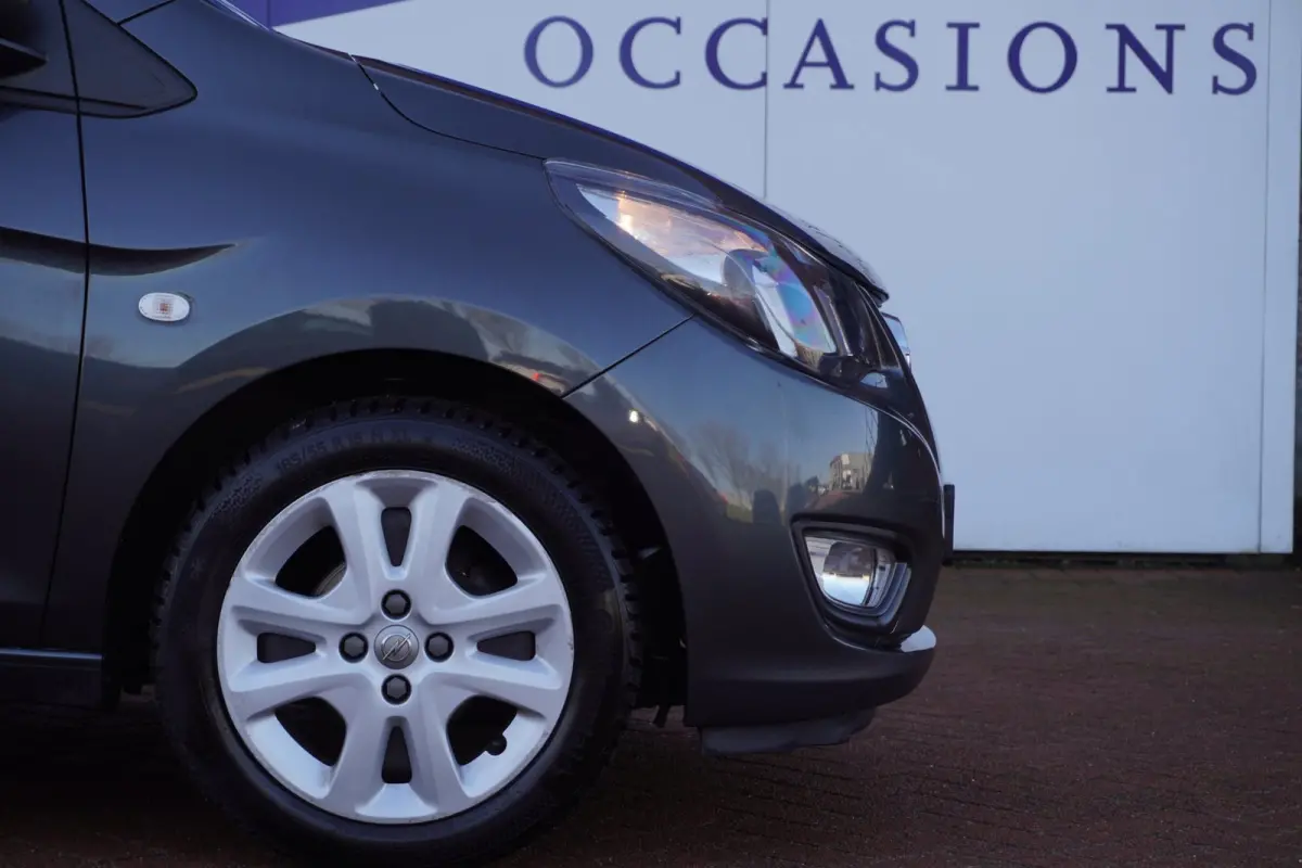 1.0 ecoFLEX Edition / PDC / Cruise / AUTOMAAT / 1EIG / ORIG-NL / MEI ACTIEPRIJS = DEALER ONDERHOUDEN !!