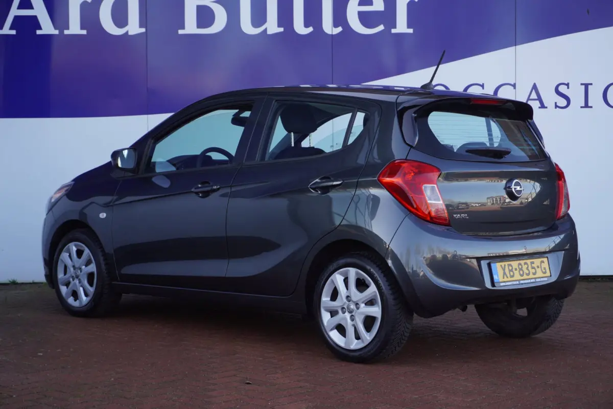 1.0 ecoFLEX Edition / PDC / Cruise / AUTOMAAT / 1EIG / ORIG-NL / MEI ACTIEPRIJS = DEALER ONDERHOUDEN !!