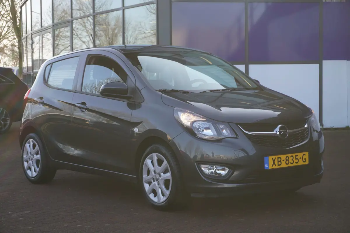 1.0 ecoFLEX Edition / PDC / Cruise / AUTOMAAT / 1EIG / ORIG-NL / MEI ACTIEPRIJS = DEALER ONDERHOUDEN !!