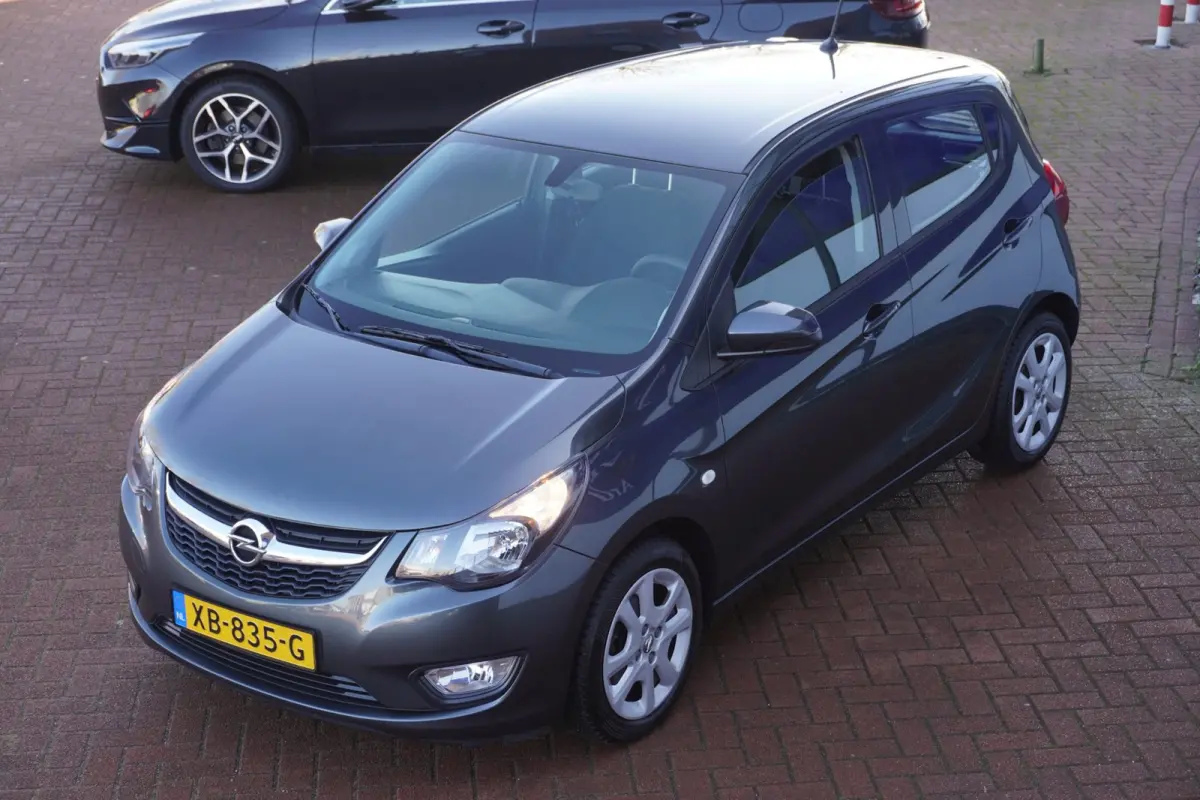 1.0 ecoFLEX Edition / PDC / Cruise / AUTOMAAT / 1EIG / ORIG-NL / MEI ACTIEPRIJS = DEALER ONDERHOUDEN !!