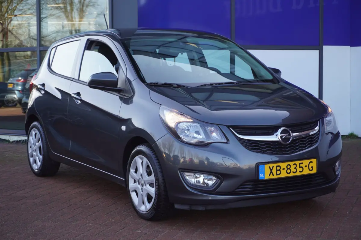 1.0 ecoFLEX Edition / PDC / Cruise / AUTOMAAT / 1EIG / ORIG-NL / MEI ACTIEPRIJS = DEALER ONDERHOUDEN !!