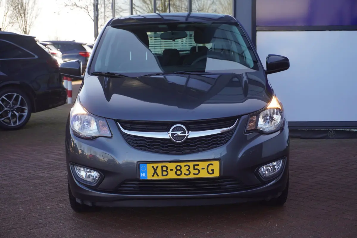 1.0 ecoFLEX Edition / PDC / Cruise / AUTOMAAT / 1EIG / ORIG-NL / MEI ACTIEPRIJS = DEALER ONDERHOUDEN !!