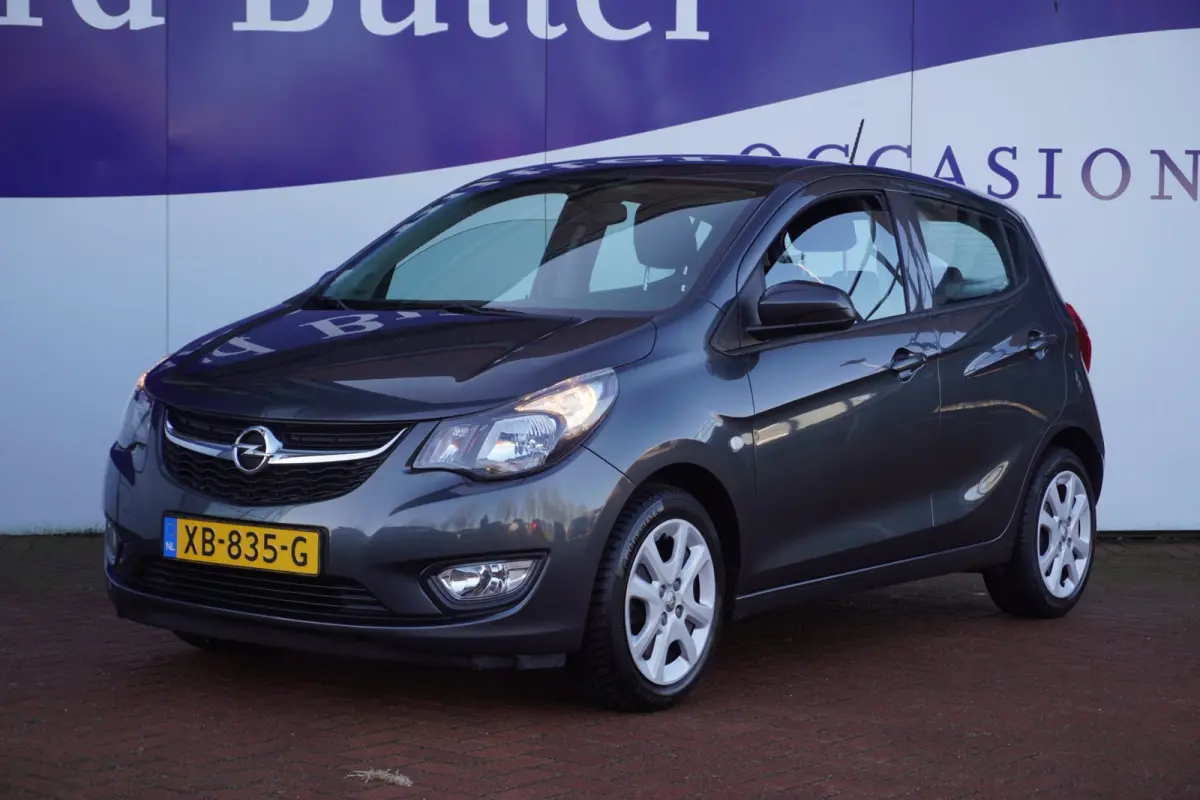 1.0 ecoFLEX Edition / PDC / Cruise / AUTOMAAT / 1EIG / ORIG-NL / MEI ACTIEPRIJS = DEALER ONDERHOUDEN !!