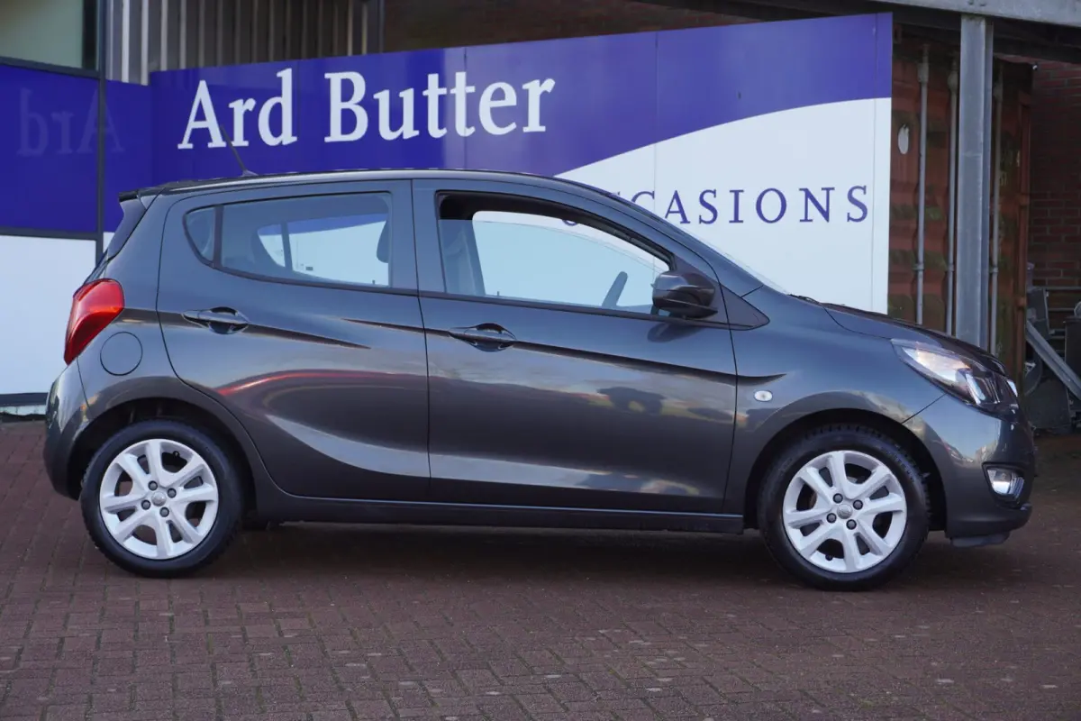 1.0 ecoFLEX Edition / PDC / Cruise / AUTOMAAT / 1EIG / ORIG-NL / MEI ACTIEPRIJS = DEALER ONDERHOUDEN !!