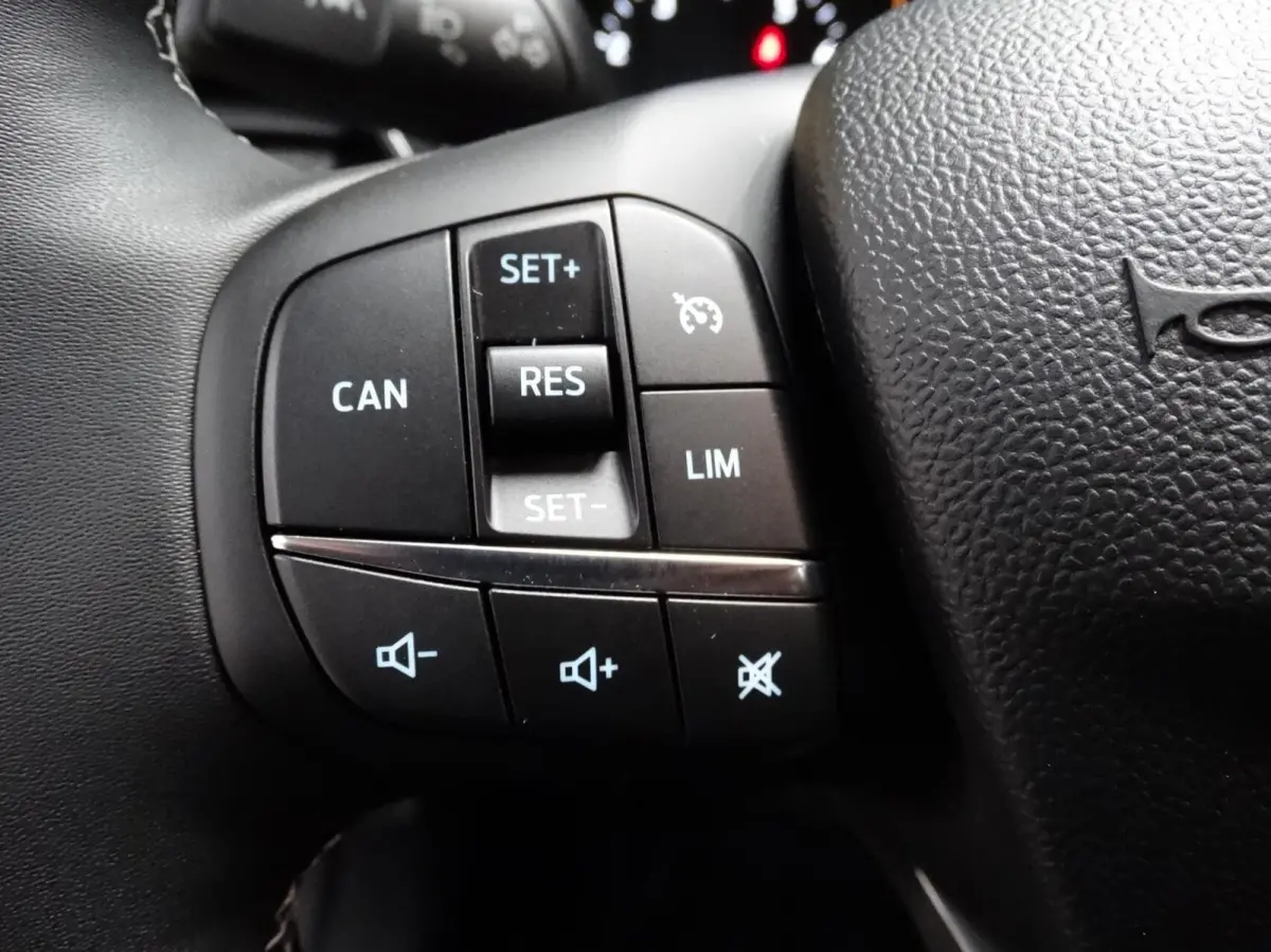 1.0 EcoBoost Titanium automaat